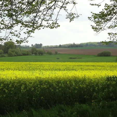 Sandnah פהמארן