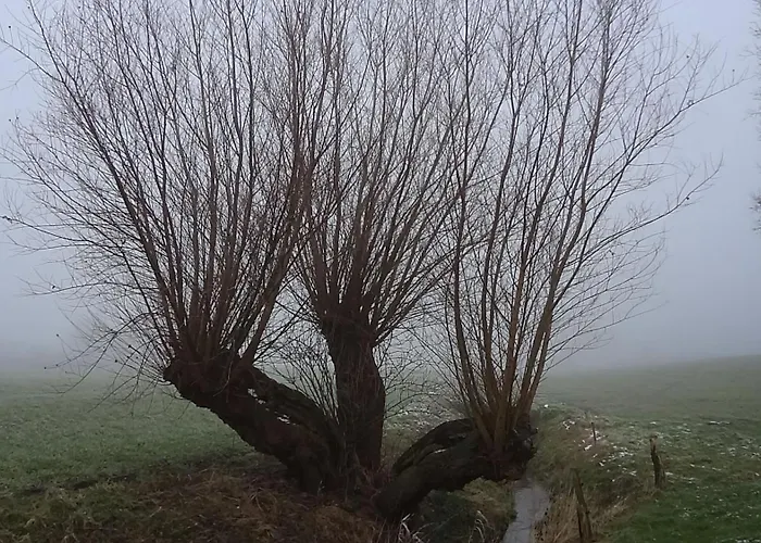 Sandnah Appartamento *